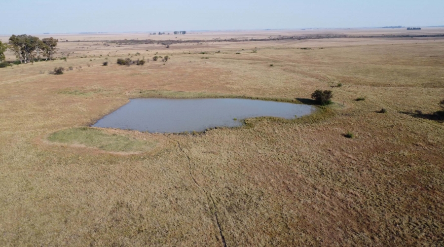 0 Bedroom Property for Sale in Koppies Rural Free State